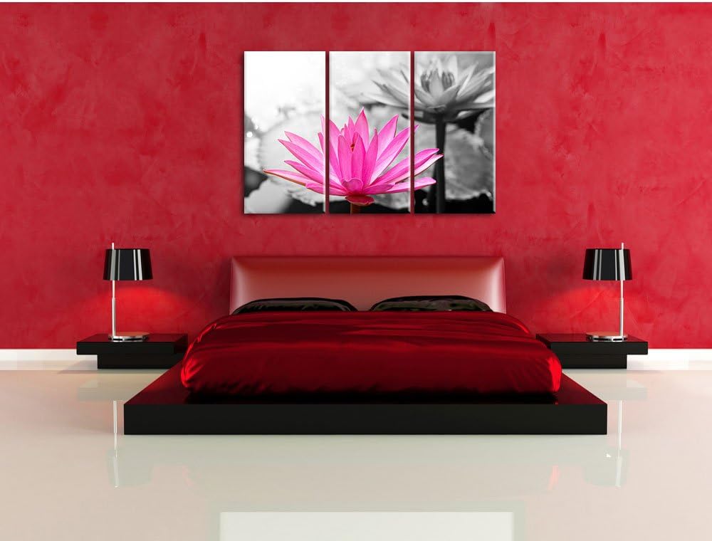 Pixxprint Lilafarbene Wasserlilie als Leinwandbild | Grösse: 3 Teilig (120x80) | Wandbild| Kunstdruc