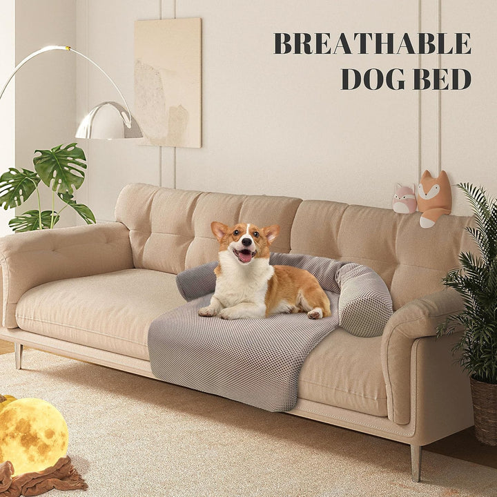 Johnear Hundebetten Hundekissen Sofaschutz, Verdickt Haustierbett Couchkissen Hundematte für grosse,