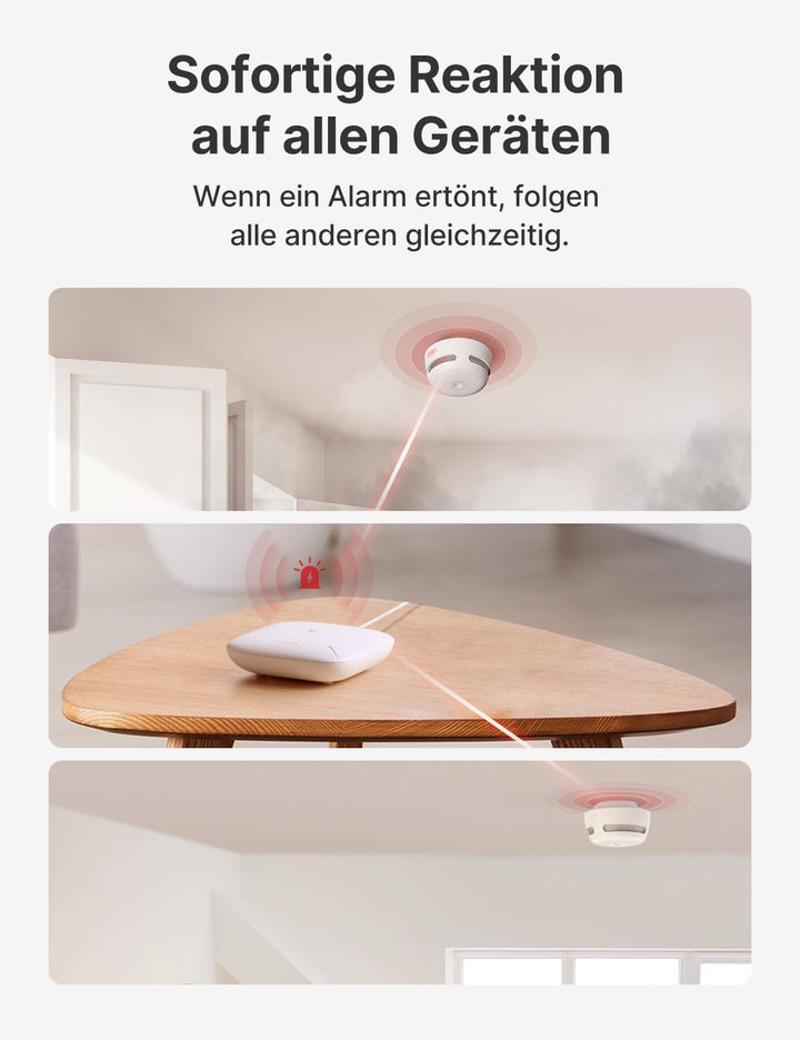 X-Sense Smart Home-Basisstation – Kompaktes Design, erfordert 2,4-GHz-WLAN, mit 2-in-1-Taste für Stu