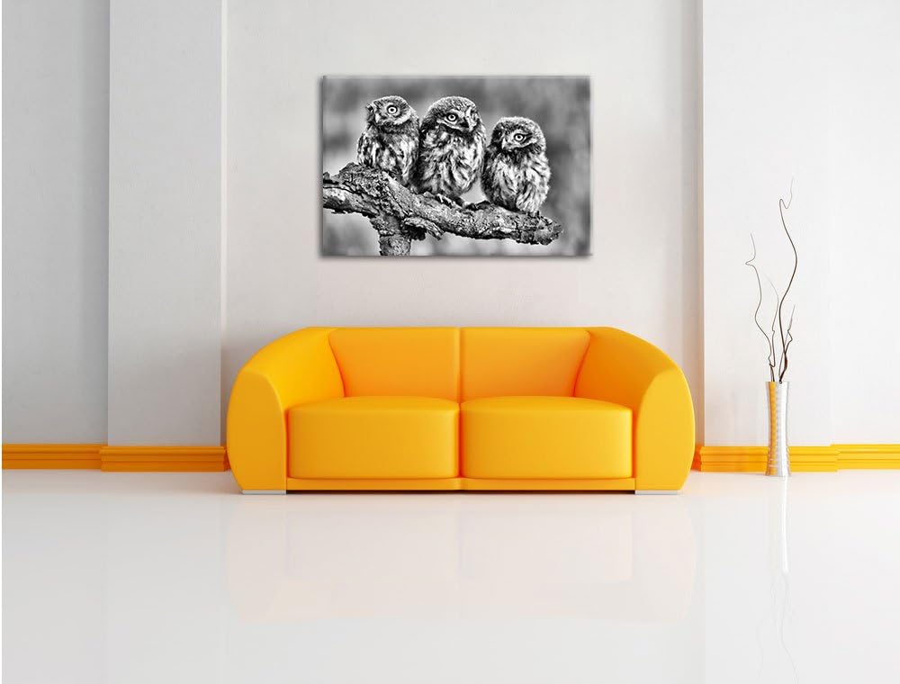 Pixxprint DREI Eulen auf AST als Leinwandbild/Grösse: 100x70 cm/Wandbild/Kunstdruck/fertig bespannt,
