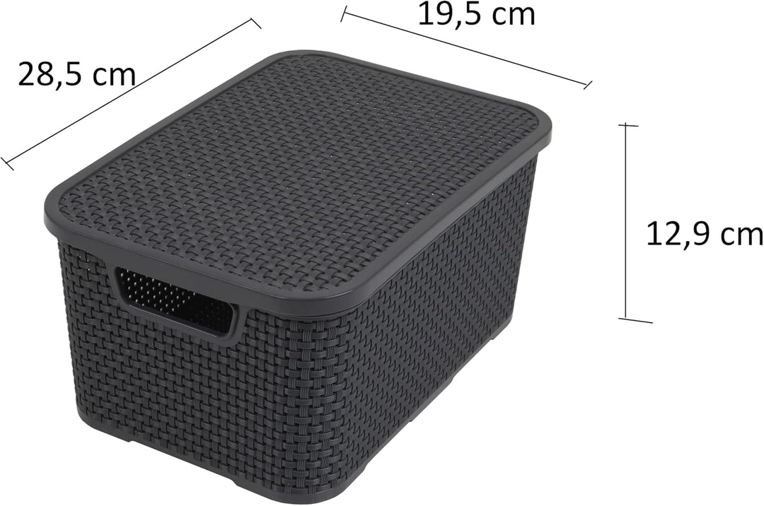 BranQ - Home essential Korb in Rattan Design 2er Set Grösse S 7l, Kunststoff PP, Anthrazit, 7 l 7 l
