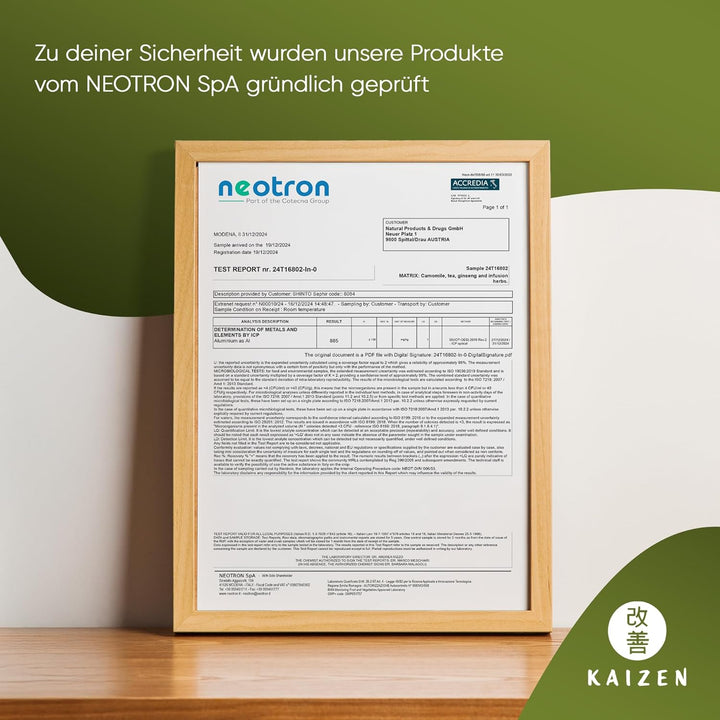 Kaizen® Ibuki Matcha Set - erlesener Premium Bio Matcha-Tee, handgefertigte Chawan-Teeschale, Besen