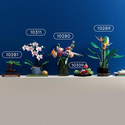 LEGO 10309 Icons Sukkulenten Künstliche Blumen Set für Erwachsene, Blumenstrauss-Bausatz, Kreatives