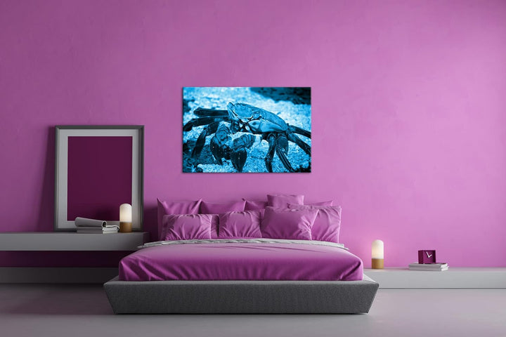deyoli bunte Krabbe am Strand Format 60x40 Effekt: Monocrome Blau als Leinwandbild, Motiv fertig ger