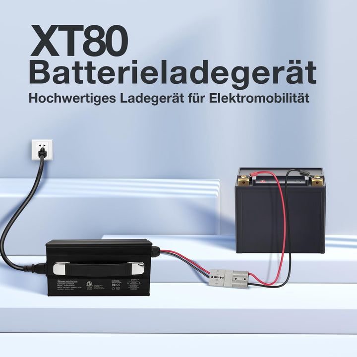 29,2V 20A LiFePO4 Ladegerät für 24V Lithium Deep Cycle Akkus | mit Mehreren Schutzfunktionen von Woh