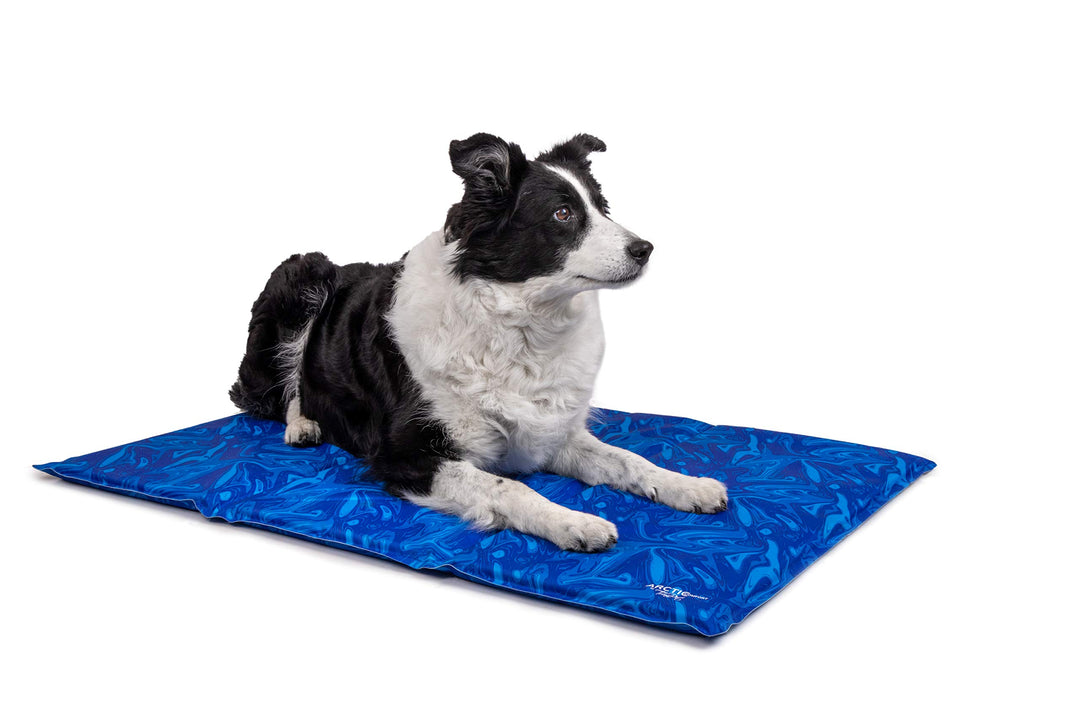 TrendPet Arctic Comfort - 20mm Premium Kühlmatte für Hunde, Hundekühlmatte, selbstkühlende Matte für