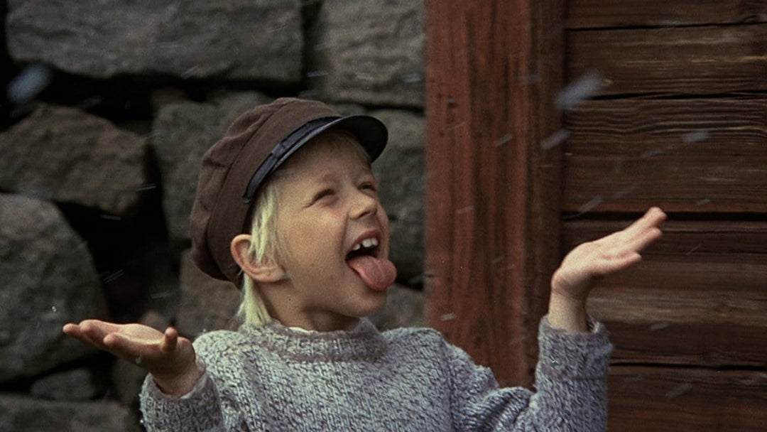 Pippi Langstrumpf / Michel aus Lönneberga - Spielfilm Komplettbox [7 DVDs], DVD