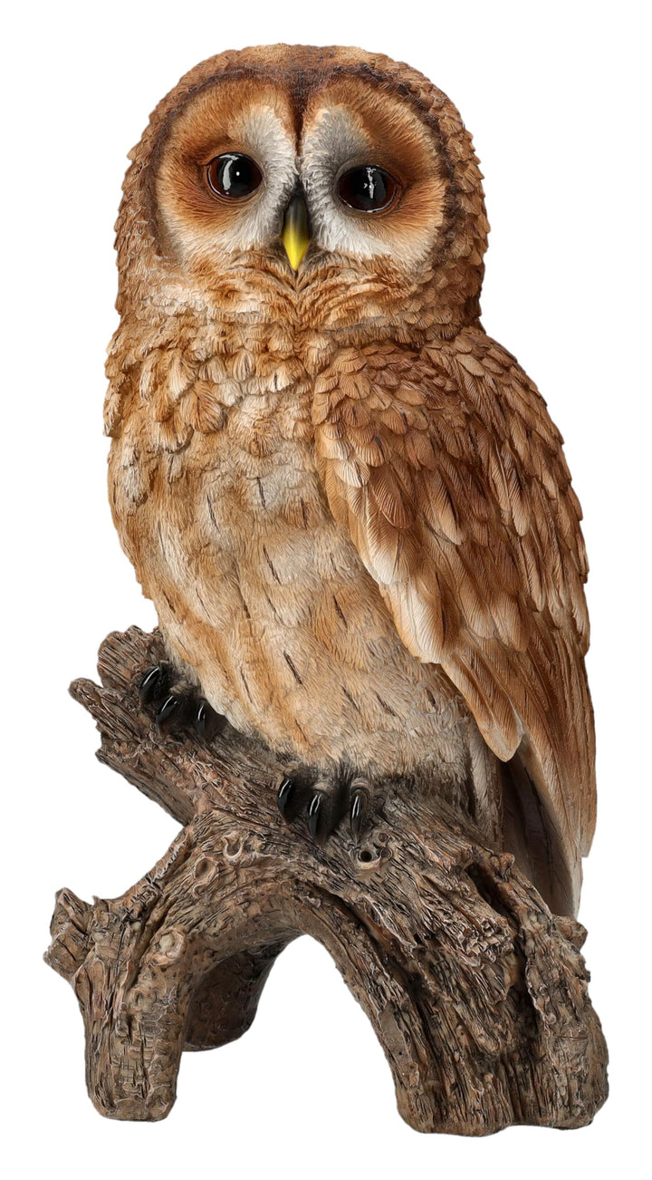 Figuren Shop GmbH Naturgetreue Eulen Gartenfigur: Grosser Waldkauz 31 cm - HotAnt, Wetterfeste Deko