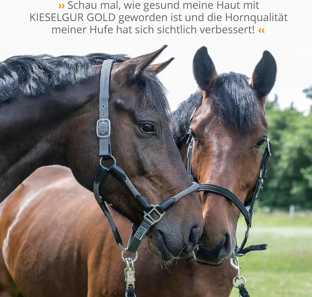 STRÖH Kieselgur Gold & Algen Pferd (1,7kg) • Zur Unterstützung von Stoffwechsel & Fellwachstum • Min