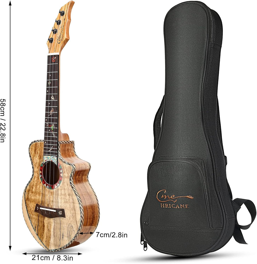 Hricane Konzert Ukulele aus edel hochqualitativ Spalten Ahorn, Professional Ukulelen glatt glänzend