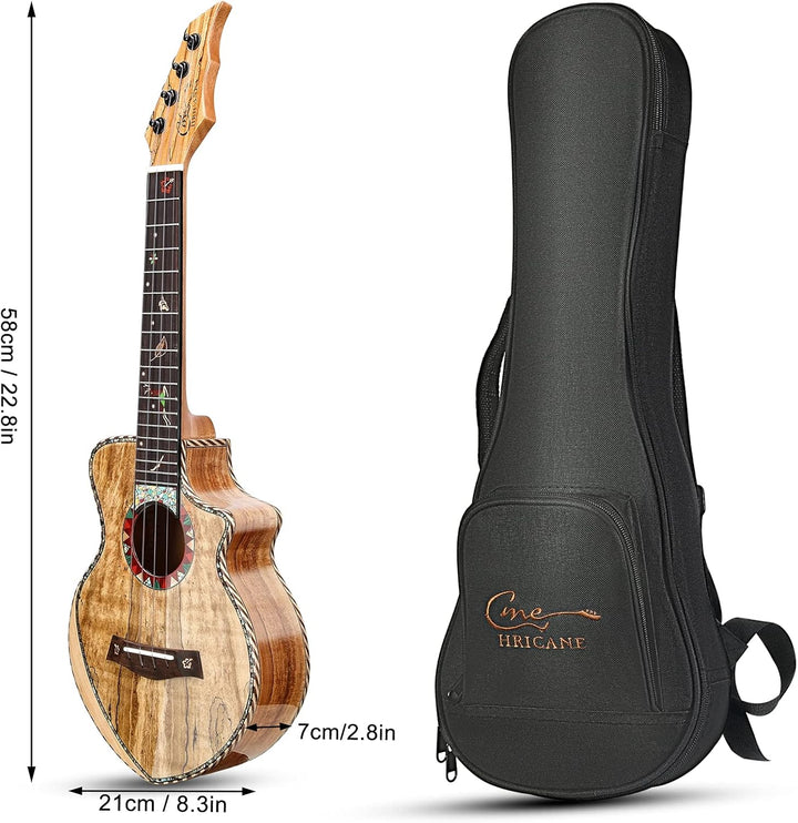 Hricane Konzert Ukulele aus edel hochqualitativ Spalten Ahorn, Professional Ukulelen glatt glänzend