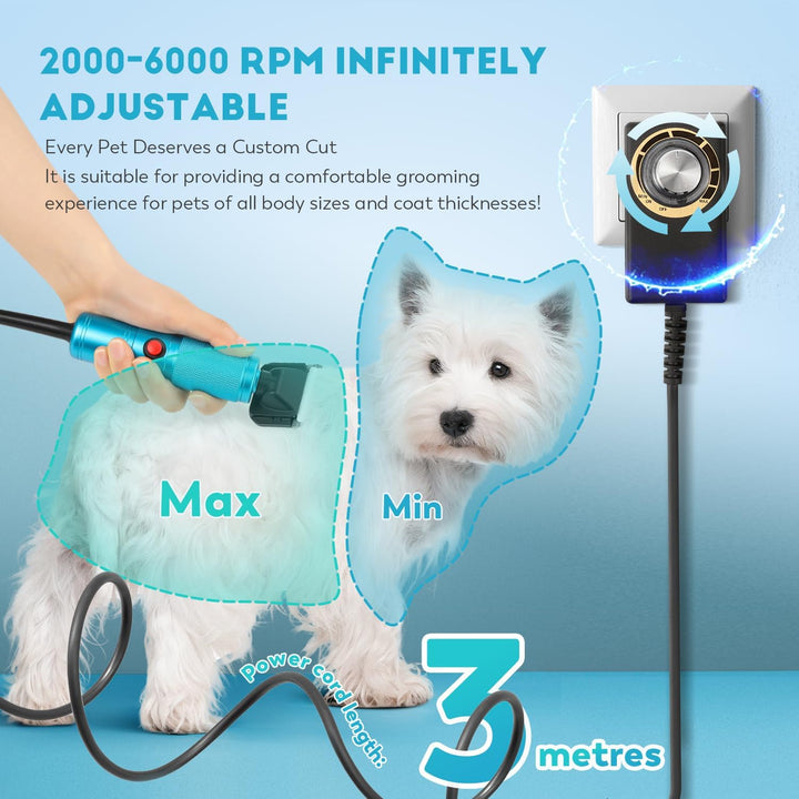 CGOLDENWALL Leise Hundeschermaschine Profi 280W, 2000-6000RPM Stufenlose Geschwindigkeitsregelung, 3