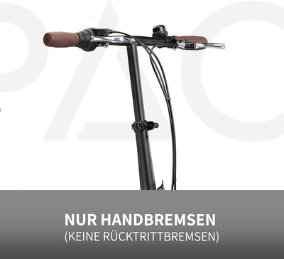 PACTO Ten Klapprad 20 Zoll mit Schnelles Faltsystem (10 Sek), Stahlrahmen, Leichtgewicht (16KG), Shi