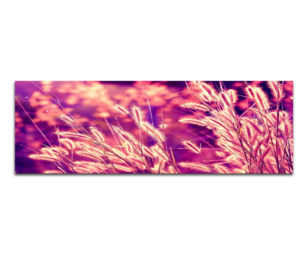 Paul Sinus Art Panoramabild auf Leinwand und Keilrahmen 150x50cm Kornähren Gräser Sonnenuntergang Vi