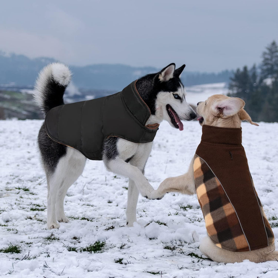 Warme Hundemantel Winter, Hundemantel mit Bauchschutz, Wintermantel für Hunde mit Reflektierend, Wen