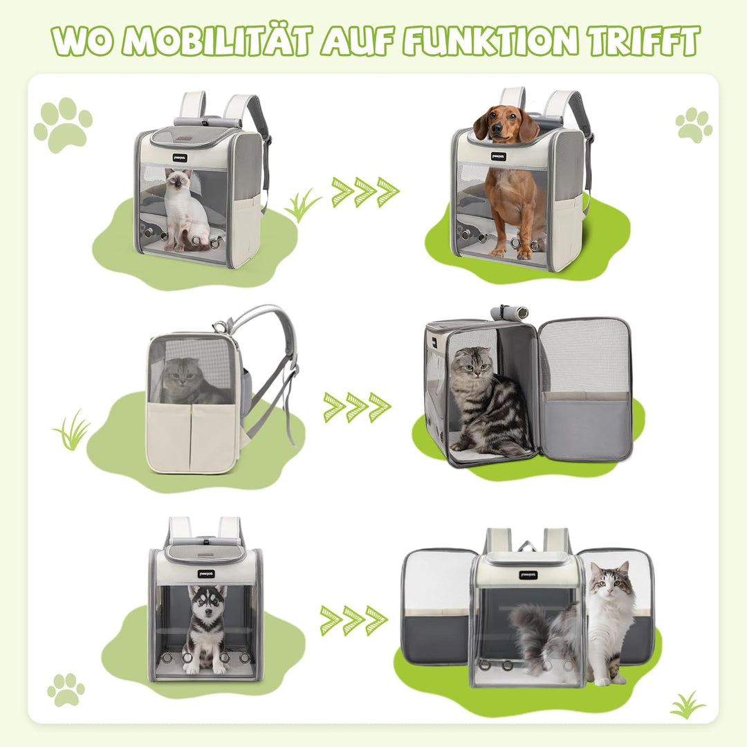 ALLSOPETS Katzenrucksack grosse Katzen, Faltbarer Hunde- und Katzen Rucksack, Atmungsaktive Tragetas