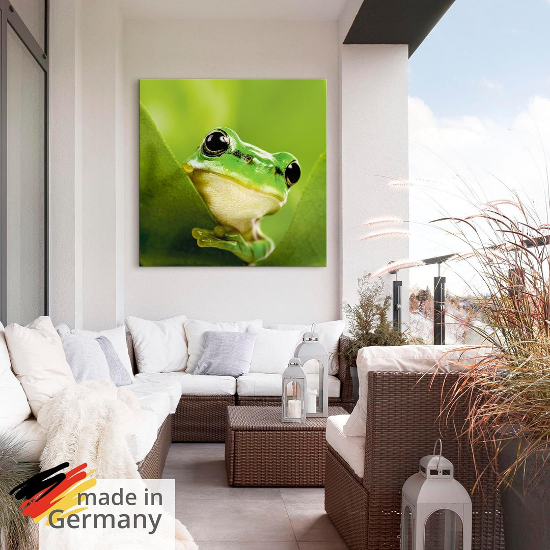 ARTland Wandbild Alu Verbundplatte für Innen & Outdoor Bild 40x40 cm Frosch Tiere Pflanze Natur Süss