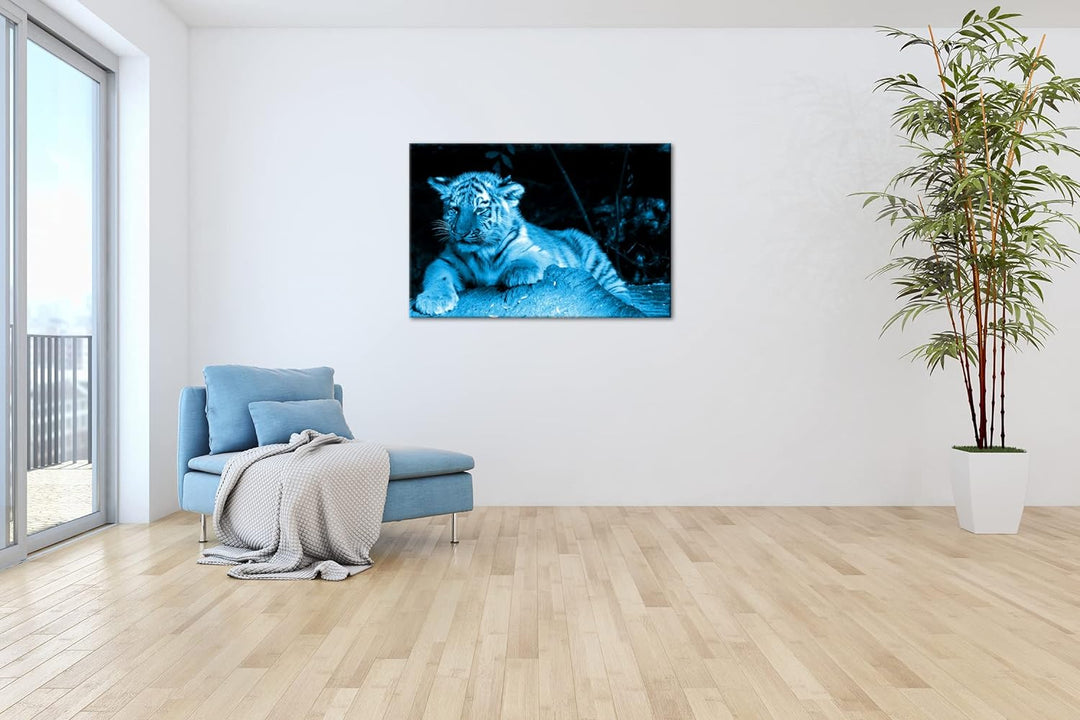 deyoli kleiner verschlafener Tiger Format 80x60 Effekt: Monocrome Blau als Leinwandbild, Motiv ferti