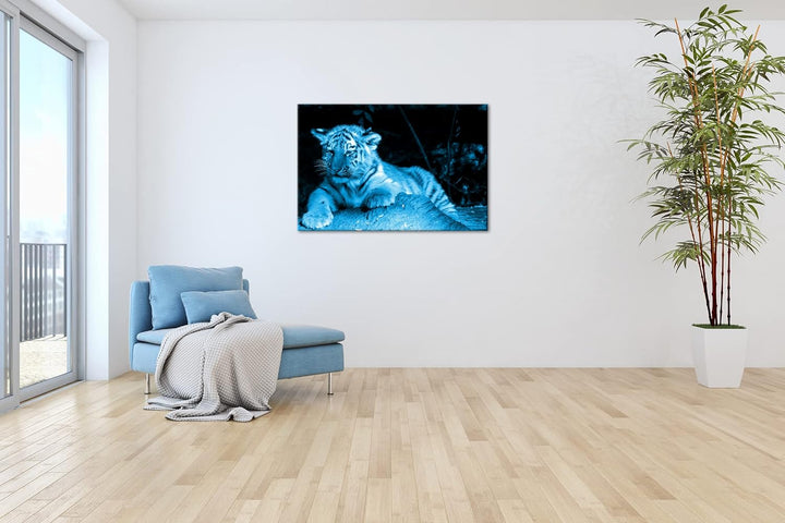 deyoli kleiner verschlafener Tiger Format 80x60 Effekt: Monocrome Blau als Leinwandbild, Motiv ferti