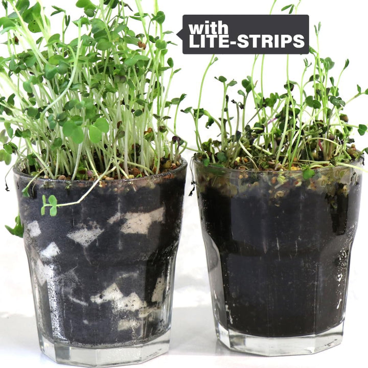Lite-Soil Wasserspeicher für Pflanzen LITE-Strips Bio5 100% abbaubar/biologisch kompostierbar (10 L)