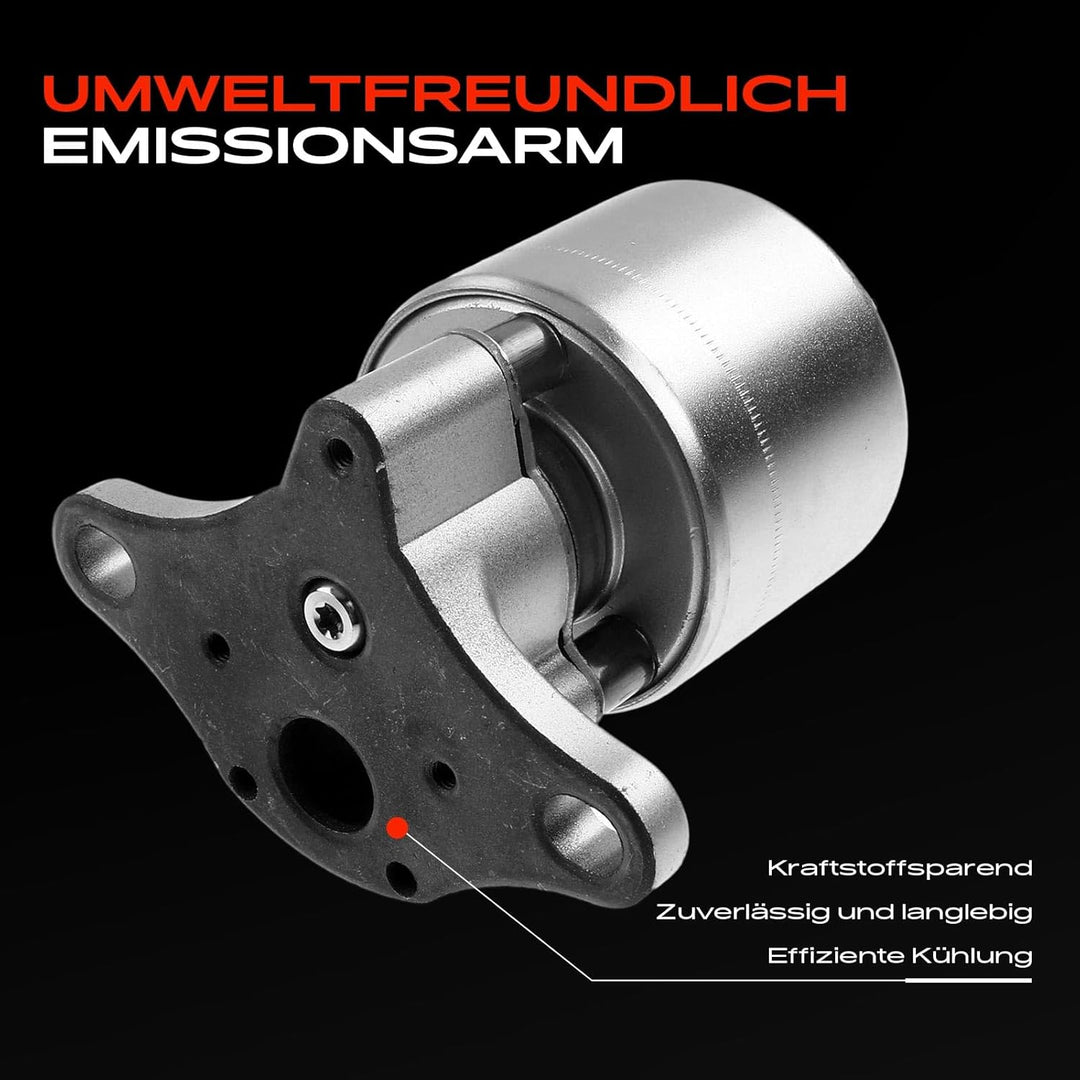 Frankberg AGR-Ventil Abgasrückführungsventil für Aveo/Kalos T200 Matiz M100 Spark Astra T98 Vectra B