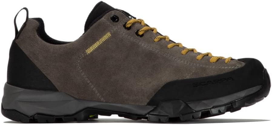 Scarpa Unisex Mojito Trail GTX Hkb Salix Traillaufschuhe 40 EU Titan, 40 EU Titan