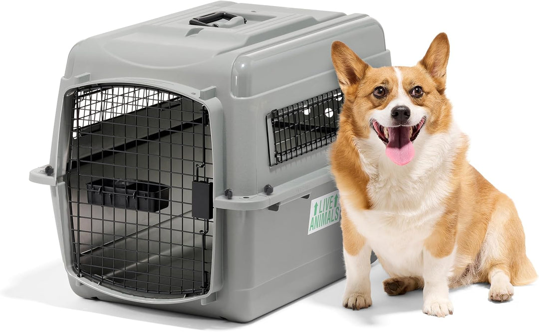 Petmate 00200 Transportin Sky Kennel 28, 71,12 L x 52,07 B x 54,61 H cm, Grau L 71 x B 52 x H 55 cm