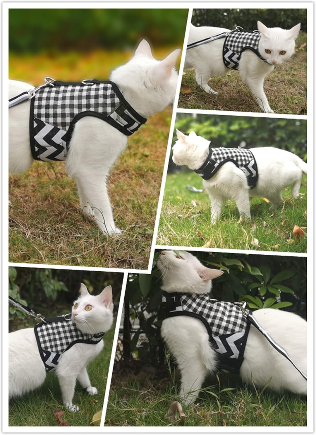 Yizhi Miaow Katzengeschirr und Leine zum Spazierengehen, ausbruchsicher, verstellbares Katzengeschir