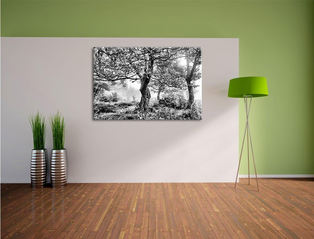 Pixxprint Traumhafte Herbstlandschaft als Leinwandbild/Grösse: 100x70 / Wandbild/Kunstdruck/fertig b