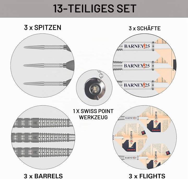 Target Darts Raymond Van Barneveld RVB 25 Year Edition 21G 95% Wolfram Swiss Point Stahlspitze Darts