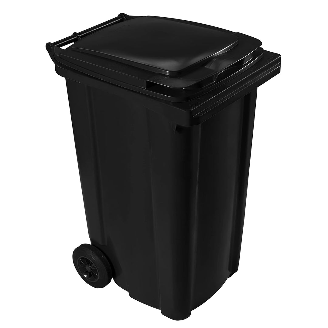 Hardwex Mülltonne mit 2 Rädern und Deckel, Müllgrossbehälter, Abfalltonne, Mülleimer, Volumen: 240 L