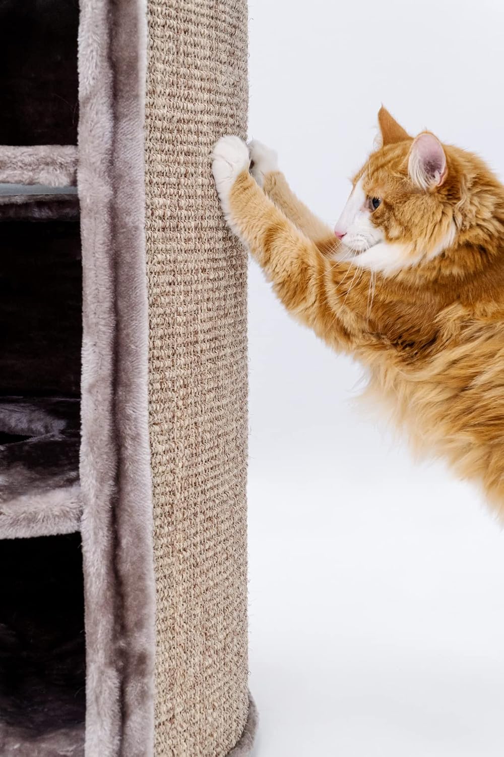 Petrebels Kratztonne XXL Superdome 120 cm hoch, Ø 50 cm, Design Kratztonne für grosse Katzen, extra