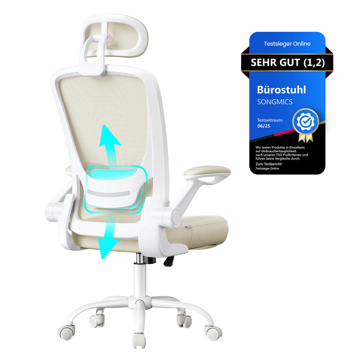 SONGMICS Bürostuhl ergonomisch, Schreibtischstuhl, Drehstuhl mit Mesh, gepolsterte Lendenstütze, Wip