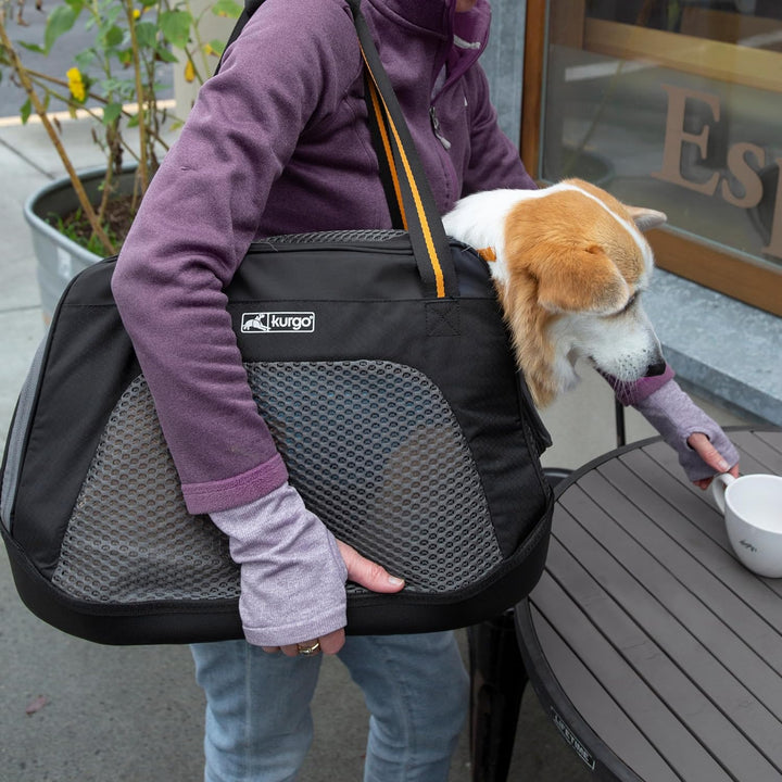 PetSafe Drinkwell Trinkbrunnen Pagoda, Filtert Wasser für Hunde und Katzen, Keramik, 2 Liter Fassung