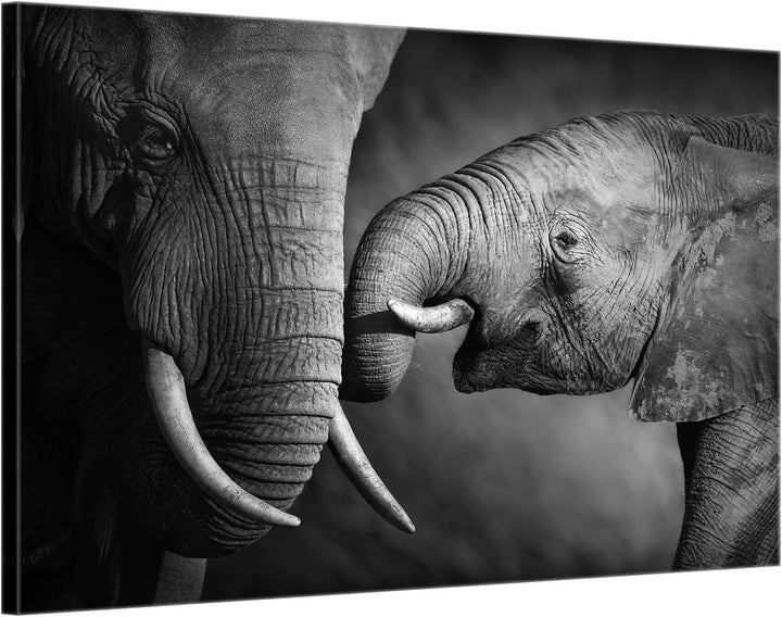 ge Bildet Bild auf Leinwand | Elefanten - schwarz weiss in 70x50 cm als Wandbild | Wand-deko Dekorat