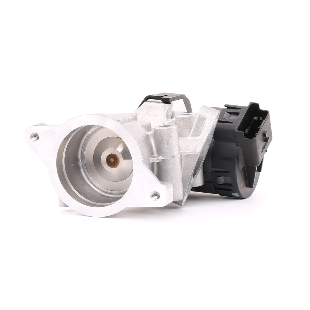 Delphi EG10395-12B1 Agr-Ventil