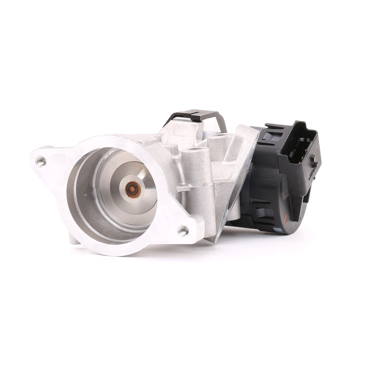 Delphi EG10395-12B1 Agr-Ventil