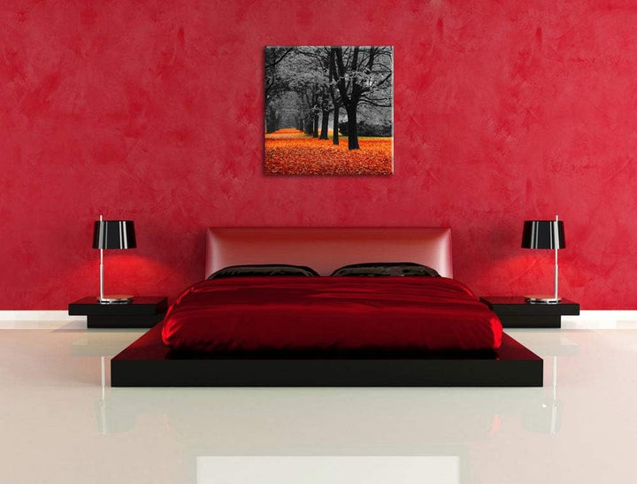 Pixxprint schöner Waldweg im Herbst schwarz/weiss, Format: 70x70 auf Leinwand, riesige Bilder fertig