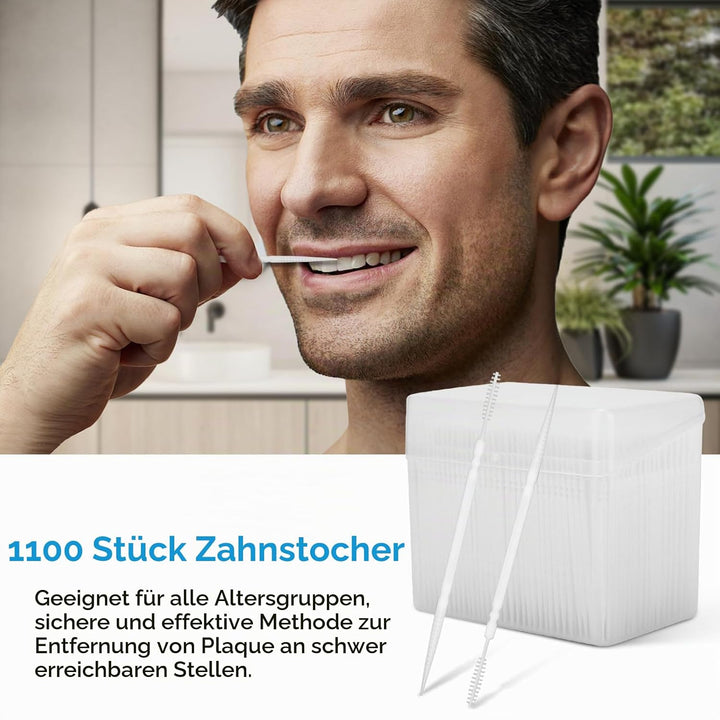 1100 Stück Kunststoff-Zahnstocher, runde Doppelkopf-Zahnstocher, runde Zahnreinigungsseide, Zahnseid