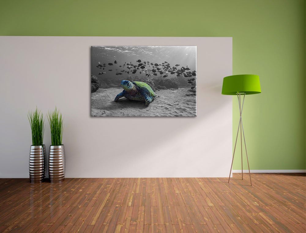 Schildkröte im Ozean schwarz/weiss Format: 100x70 auf Leinwand, XXL riesige Bilder fertig gerahmt mi