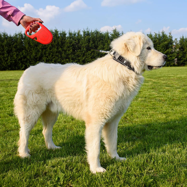 Ferplast Guinzaglio per Cani Allungabile FLIPPY ONE, Guinzaglio per Cani Taglia Grande fino a 50 Kg.