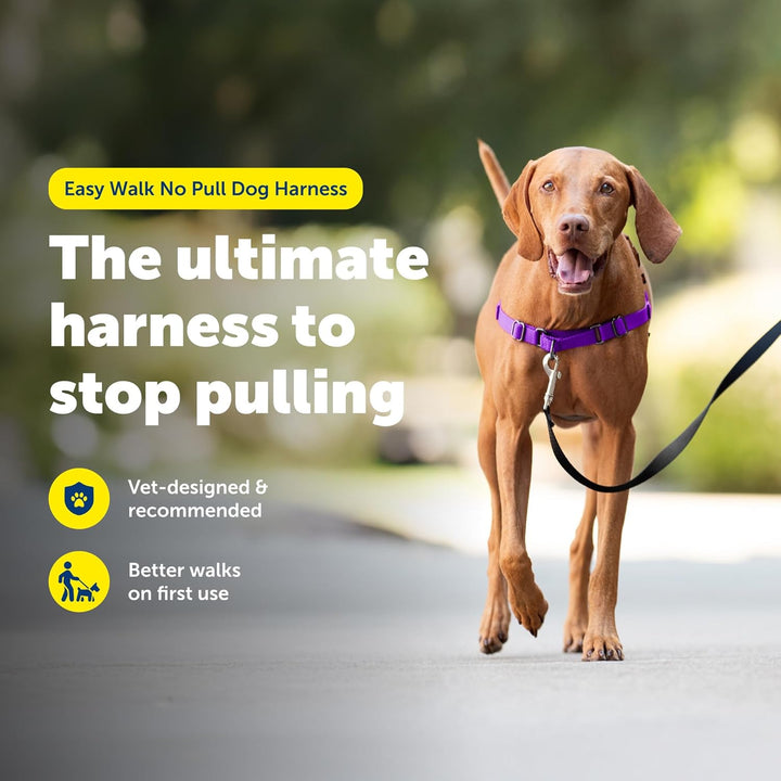 PetSafe Easy Walk Hundegeschirr. Deep Purple/Black Medium, Deep Purple/Black Medium