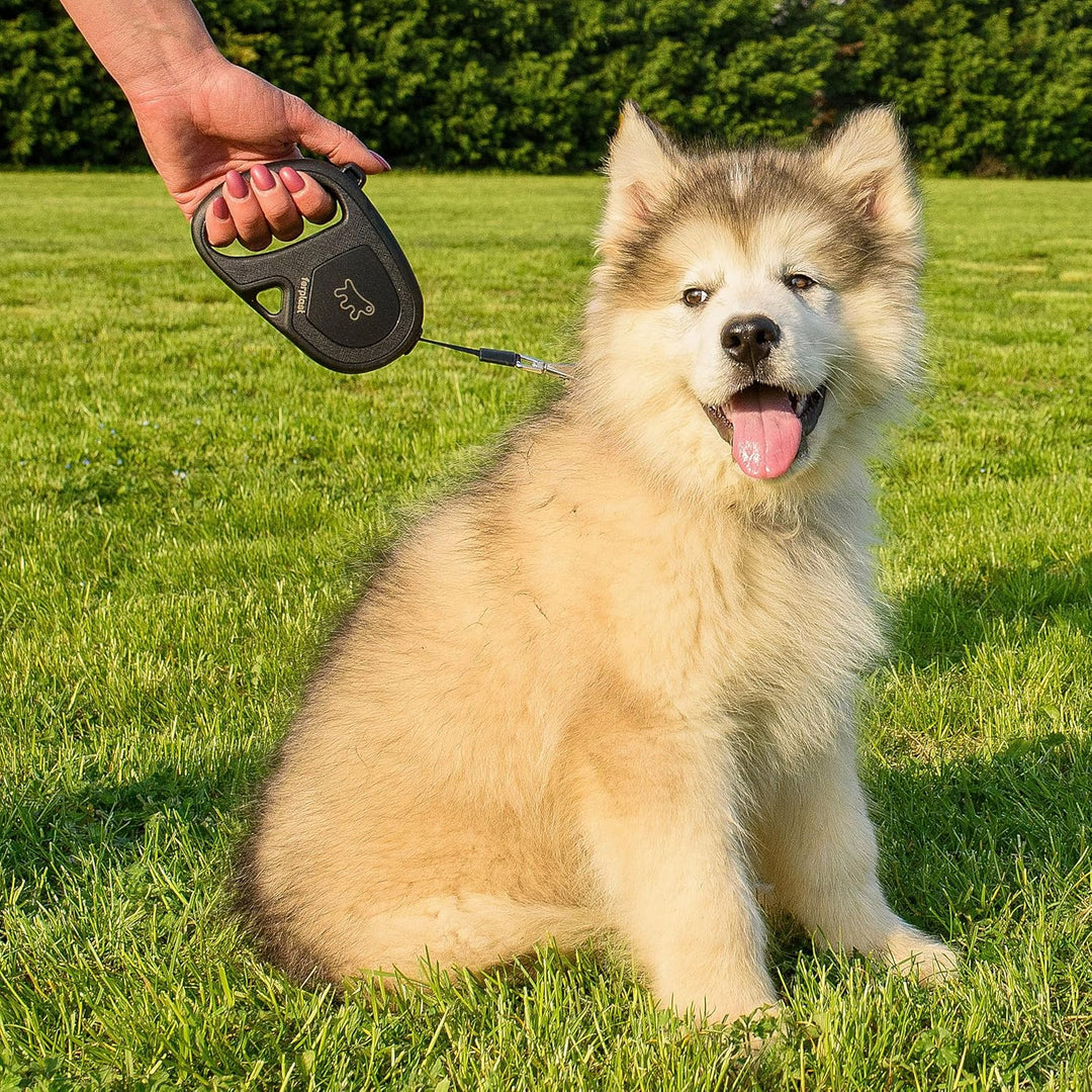 Ferplast Hundeleine Flippy ONE, Rollleine kleine Hunde bis 15 kg. Ausziehbares Gurtband max. 4 m. Ei