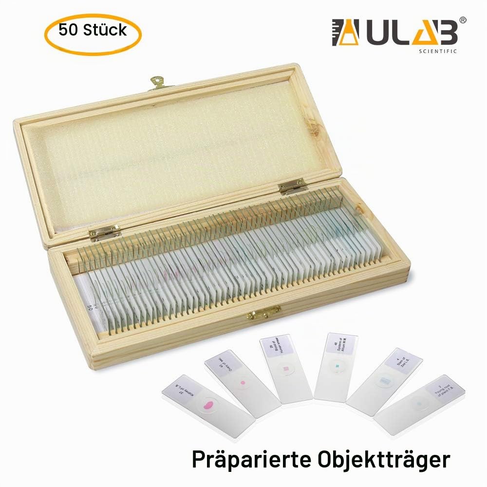 ULAB Basic Biology Vorbereitete Mikroskop-Objektträger mit Probe für Kinder, Mikroskop-Objektträger,