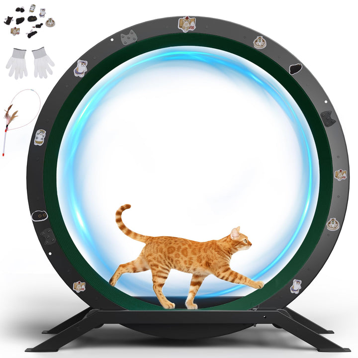 GTPLAYER Katzenlaufrad, laufrad Katze, Extra grosser 100 cm, ultraleises Laufrad mit Abnehmbarer Tep