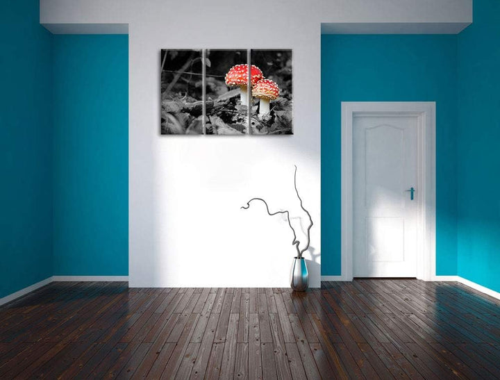 zwei kleine Fliegenpilze im Wald schwarz/weiss 3-Teiler Leinwandbild 120x80 Bild auf Leinwand, XXL r