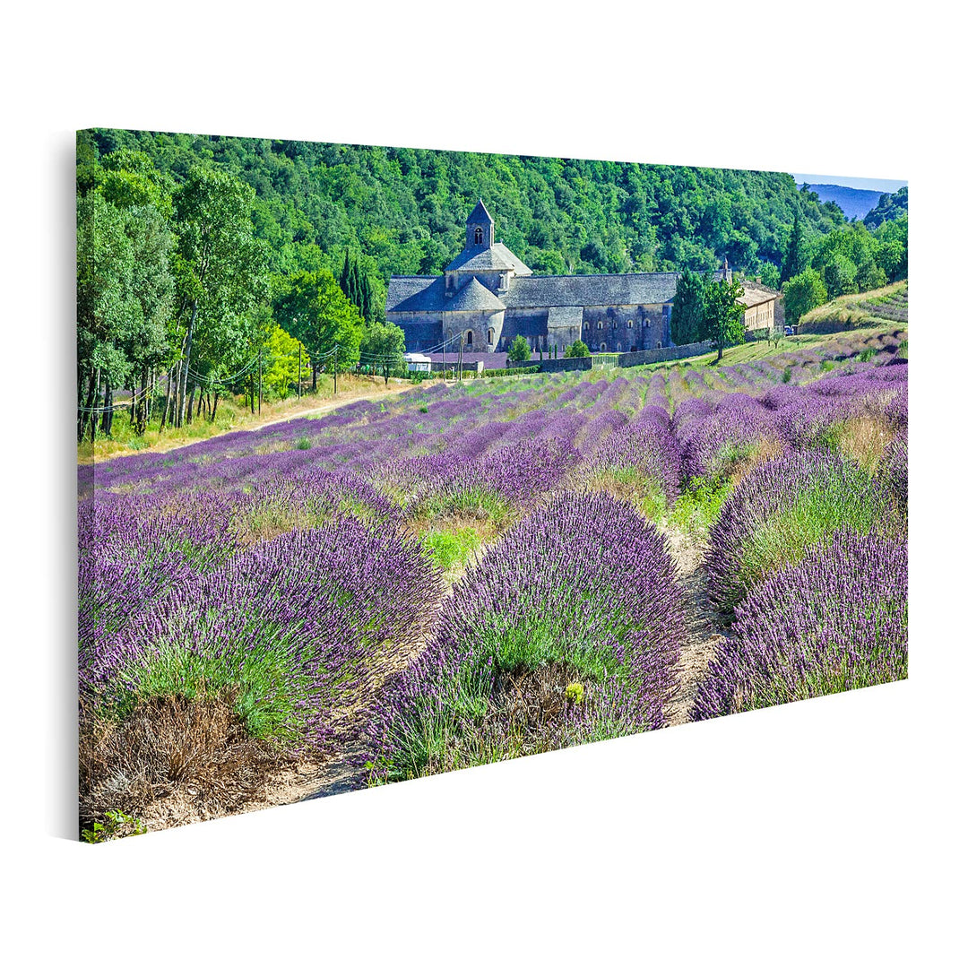 Bild auf Leinwand Lavender Vor Der Abbaye De Senanque In Der Provence Wandbild Poster Kunstdruck Bil