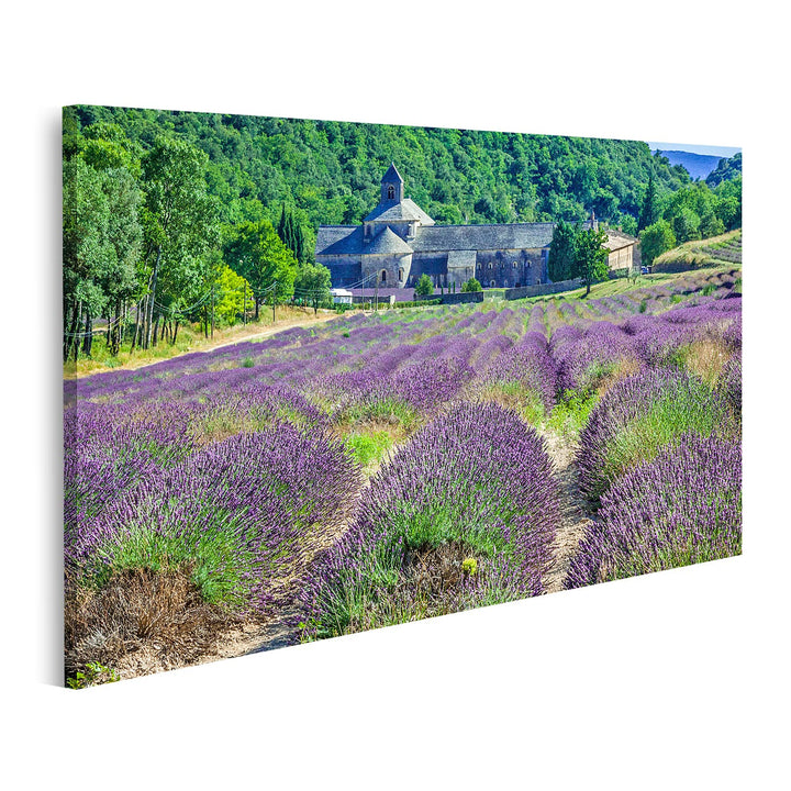 Bild auf Leinwand Lavender Vor Der Abbaye De Senanque In Der Provence Wandbild Poster Kunstdruck Bil