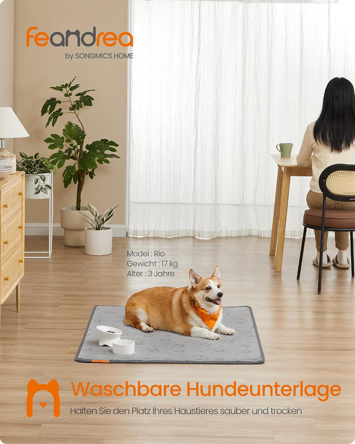 Feandrea Hundedecke, 2er Set, Wiederverwendbare Hundematte, 122 x 91 cm, XL, wasserdicht, auslaufsic