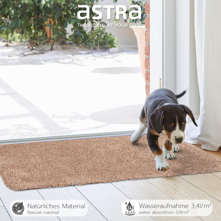 Astra Schmutzfangmatte innen waschbar 80x120 cm – Sauberlaufmatte beige 100% Baumwolle Türmatte - En
